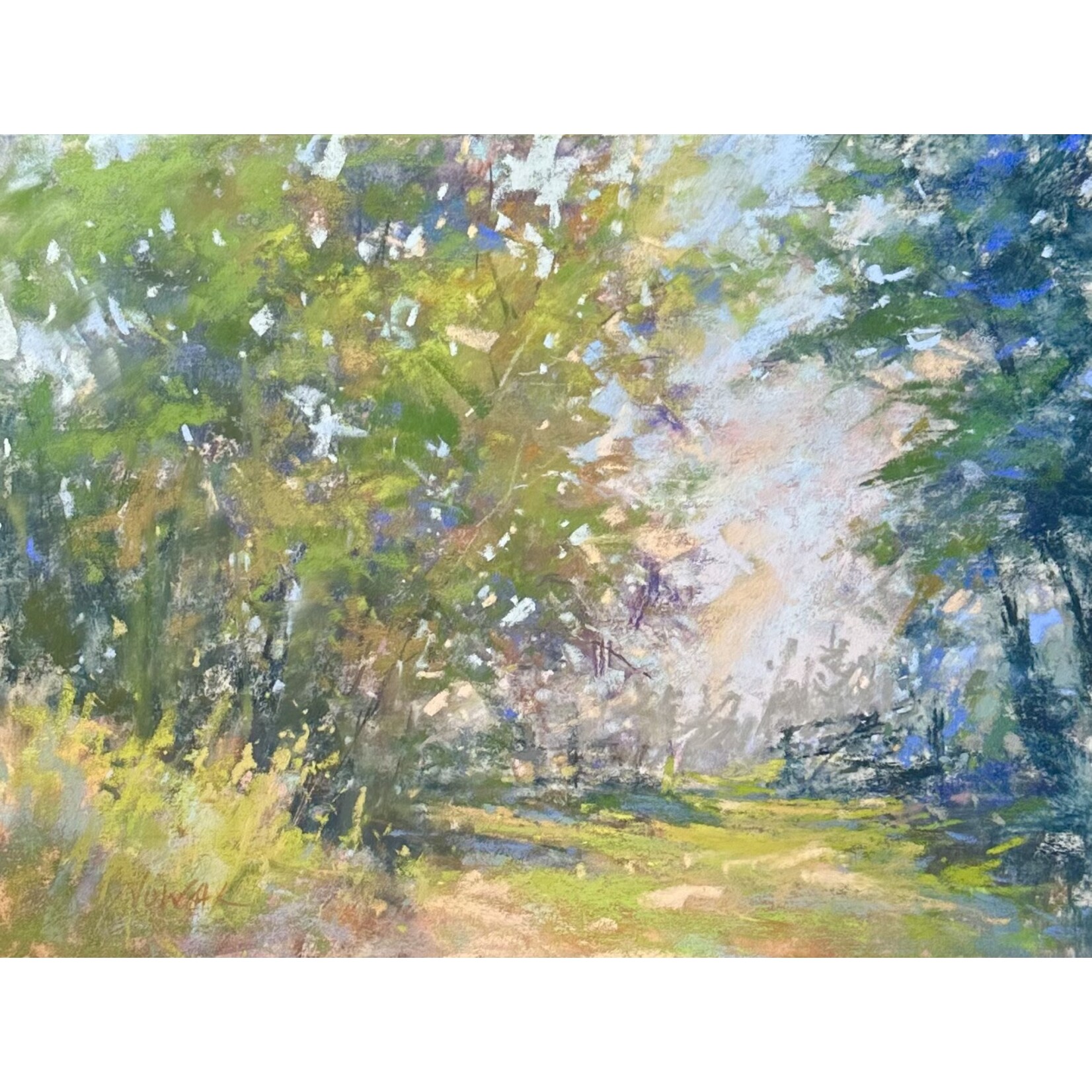 Stroll Through The Park