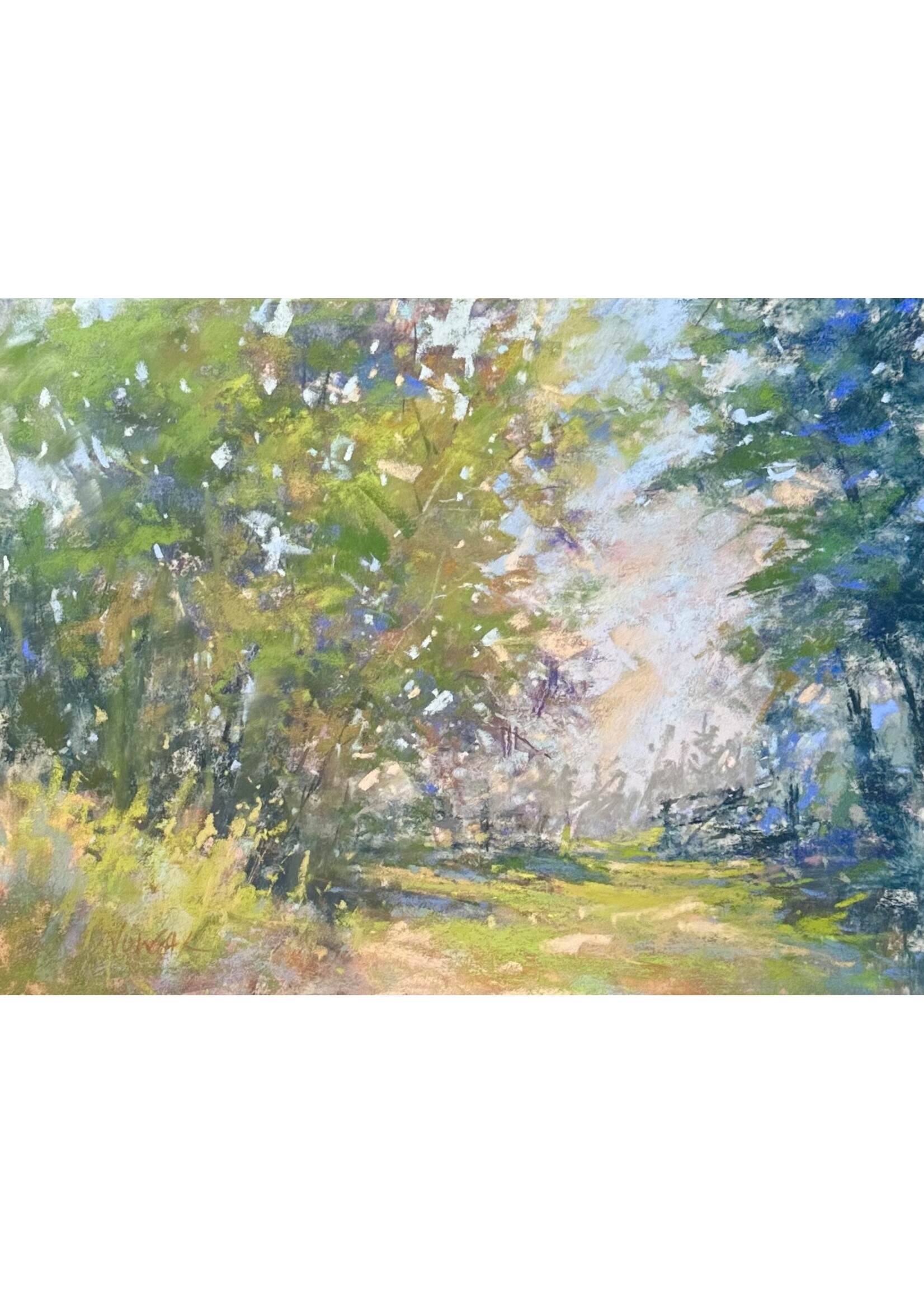 Stroll Through The Park