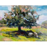 SOLD: Summer Shade