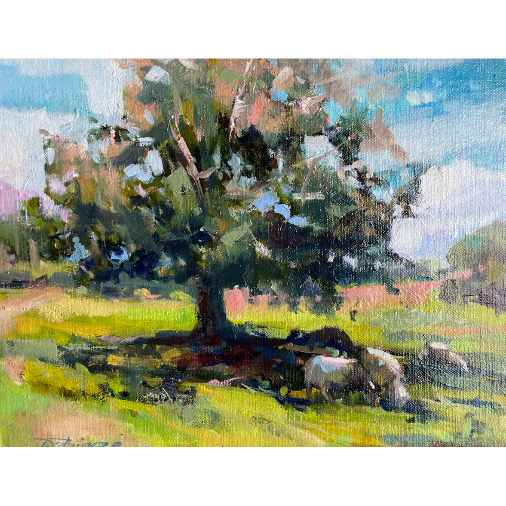SOLD: Summer Shade