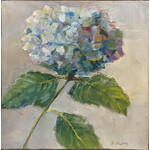Hydrangea
