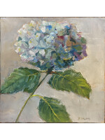 Betsy Williams Hydrangea