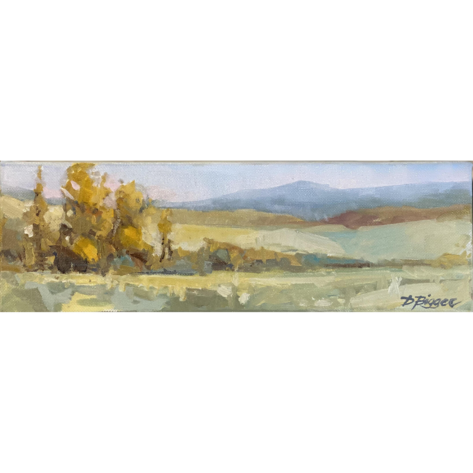 SOLD: Golden Range