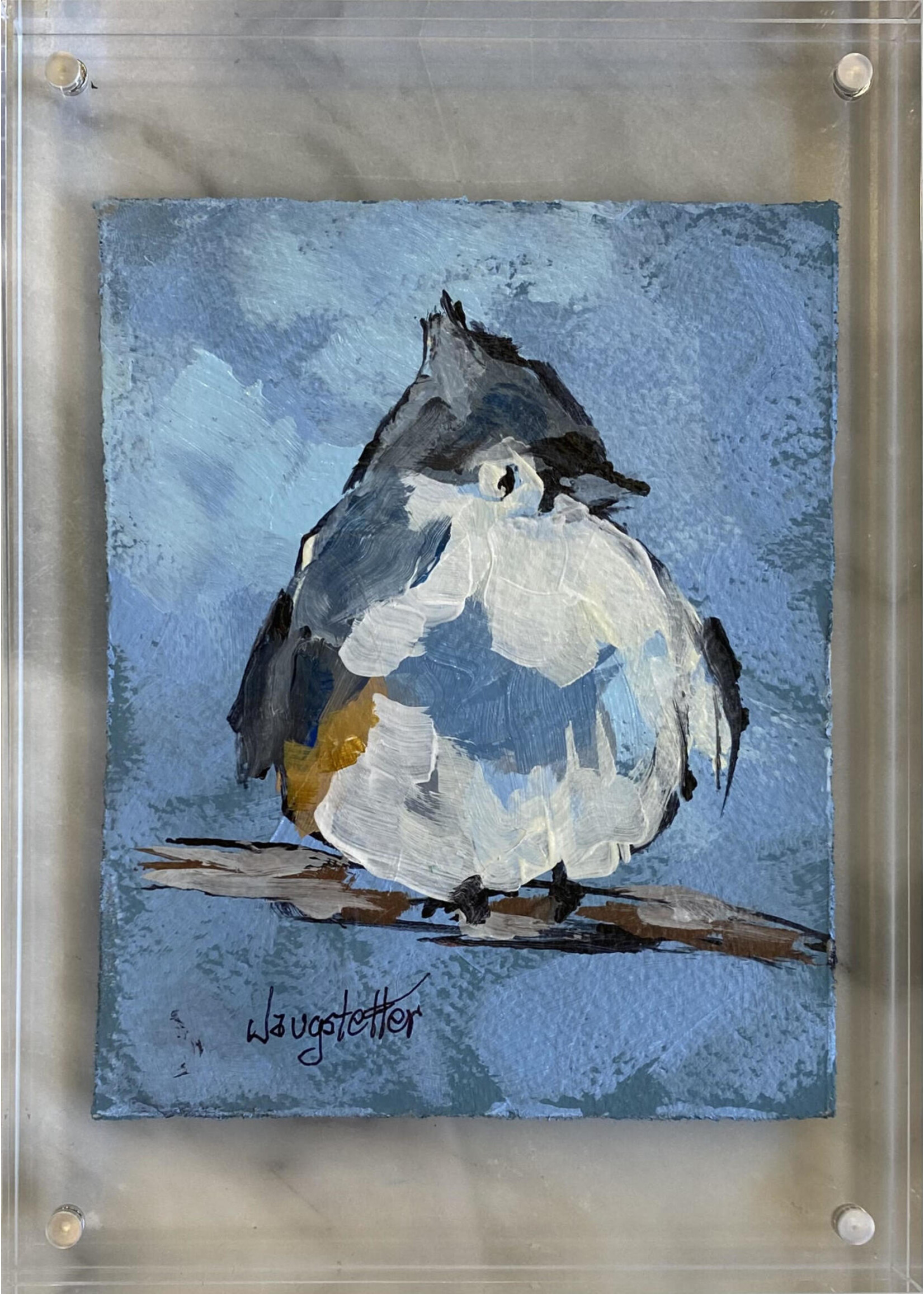 Deanna Jaugstetter "Sweet Tweet Series"