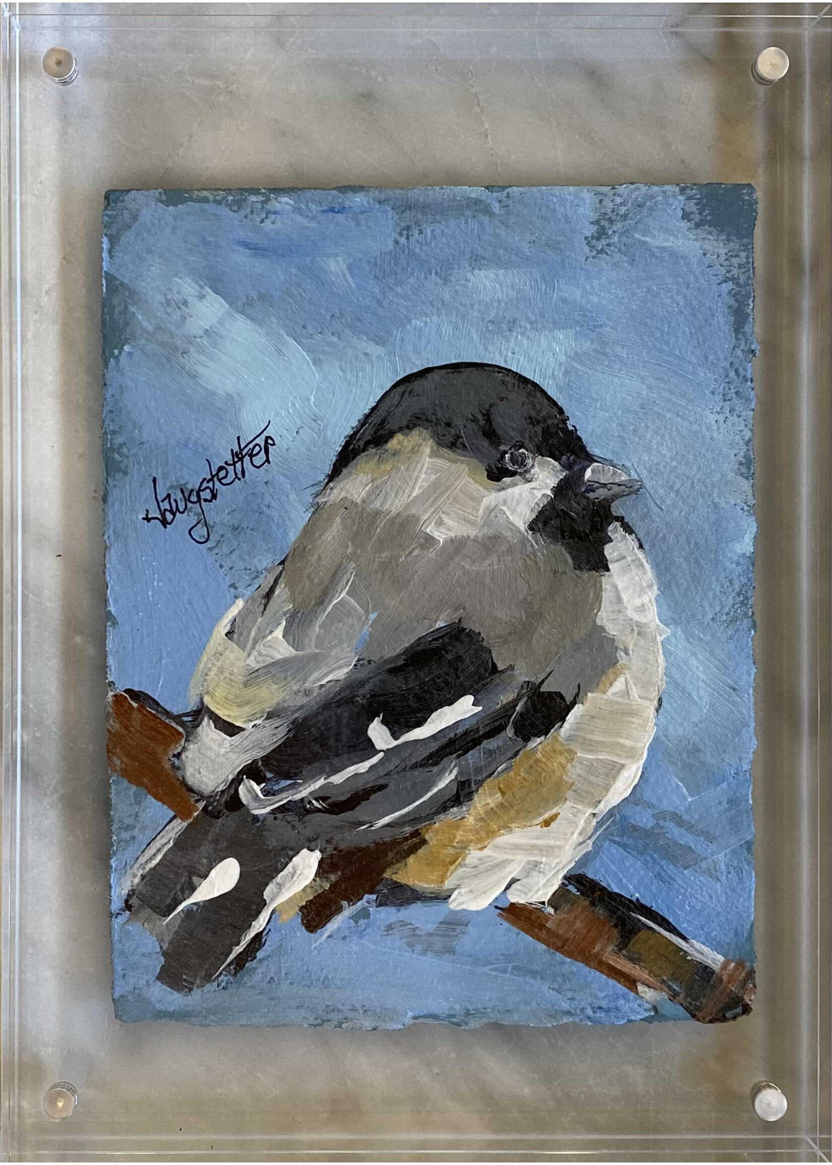 Deanna Jaugstetter "Sweet Tweet Series"