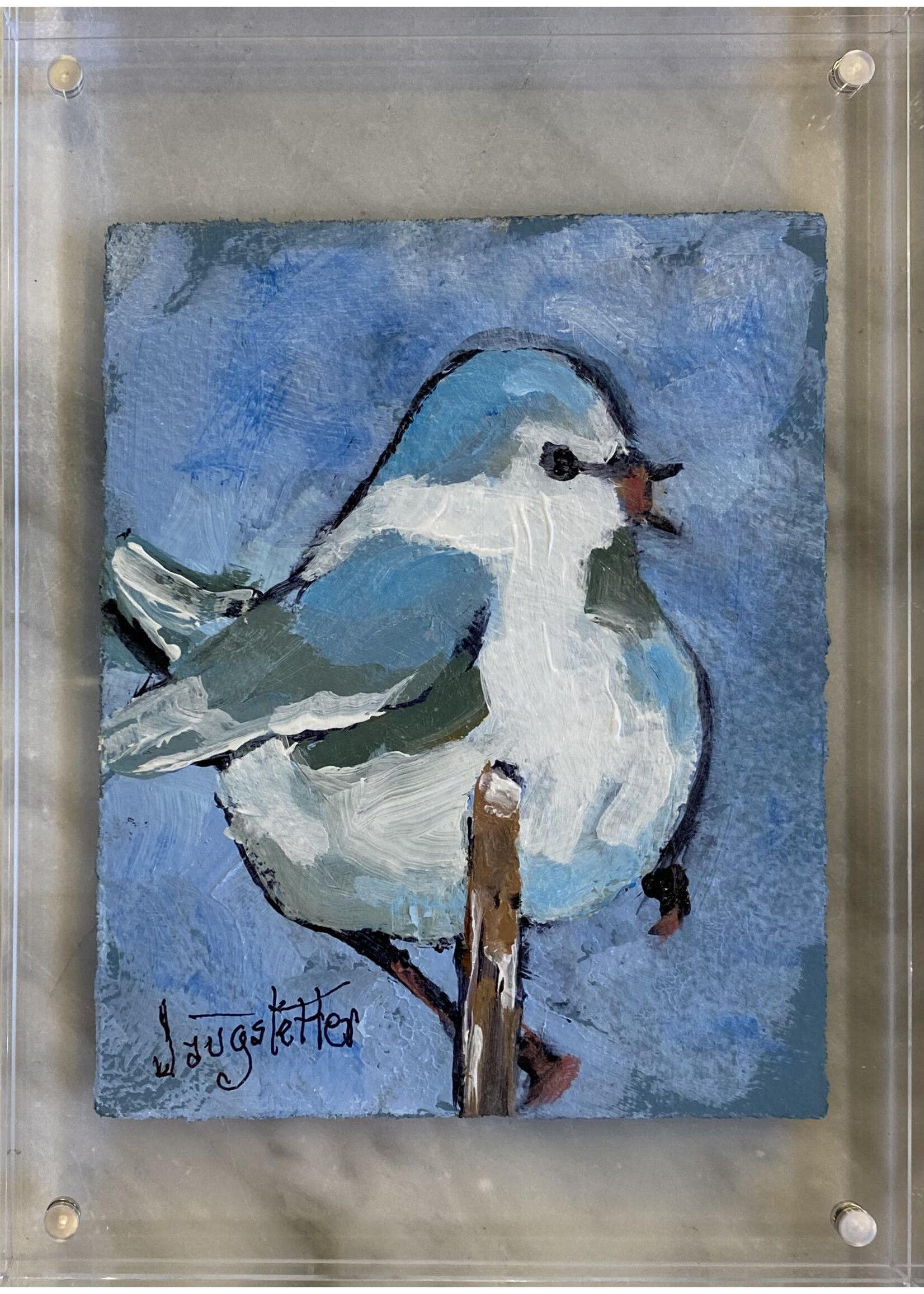 Deanna Jaugstetter "Sweet Tweet Series"