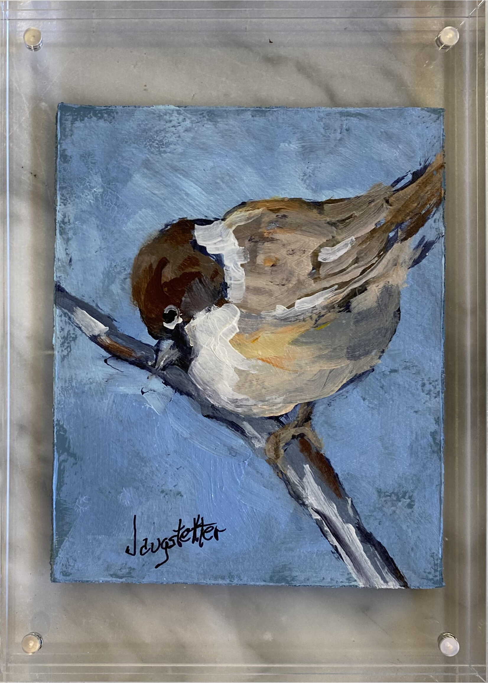 Deanna Jaugstetter "Sweet Tweet Series"