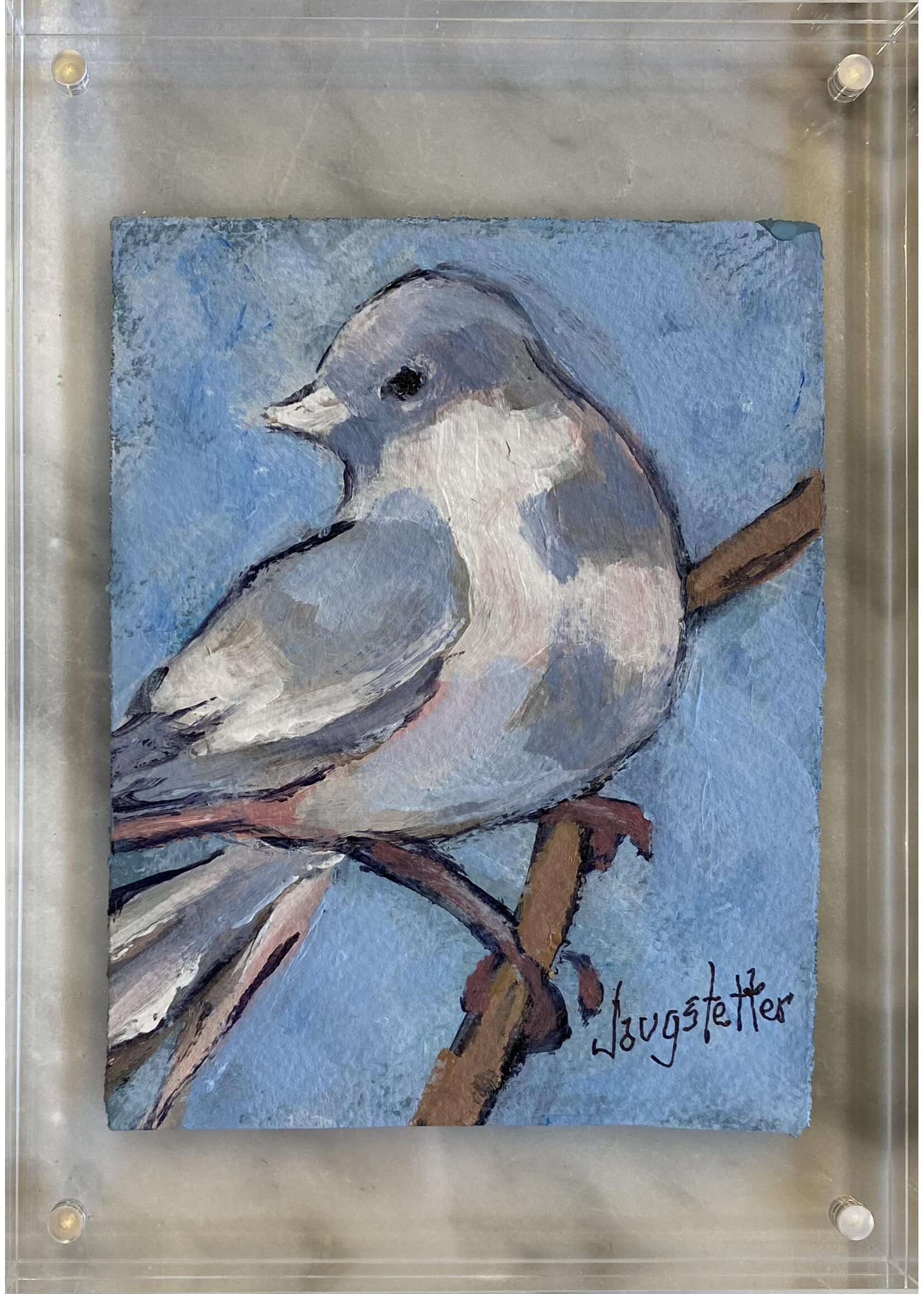 Deanna Jaugstetter "Sweet Tweet Series"