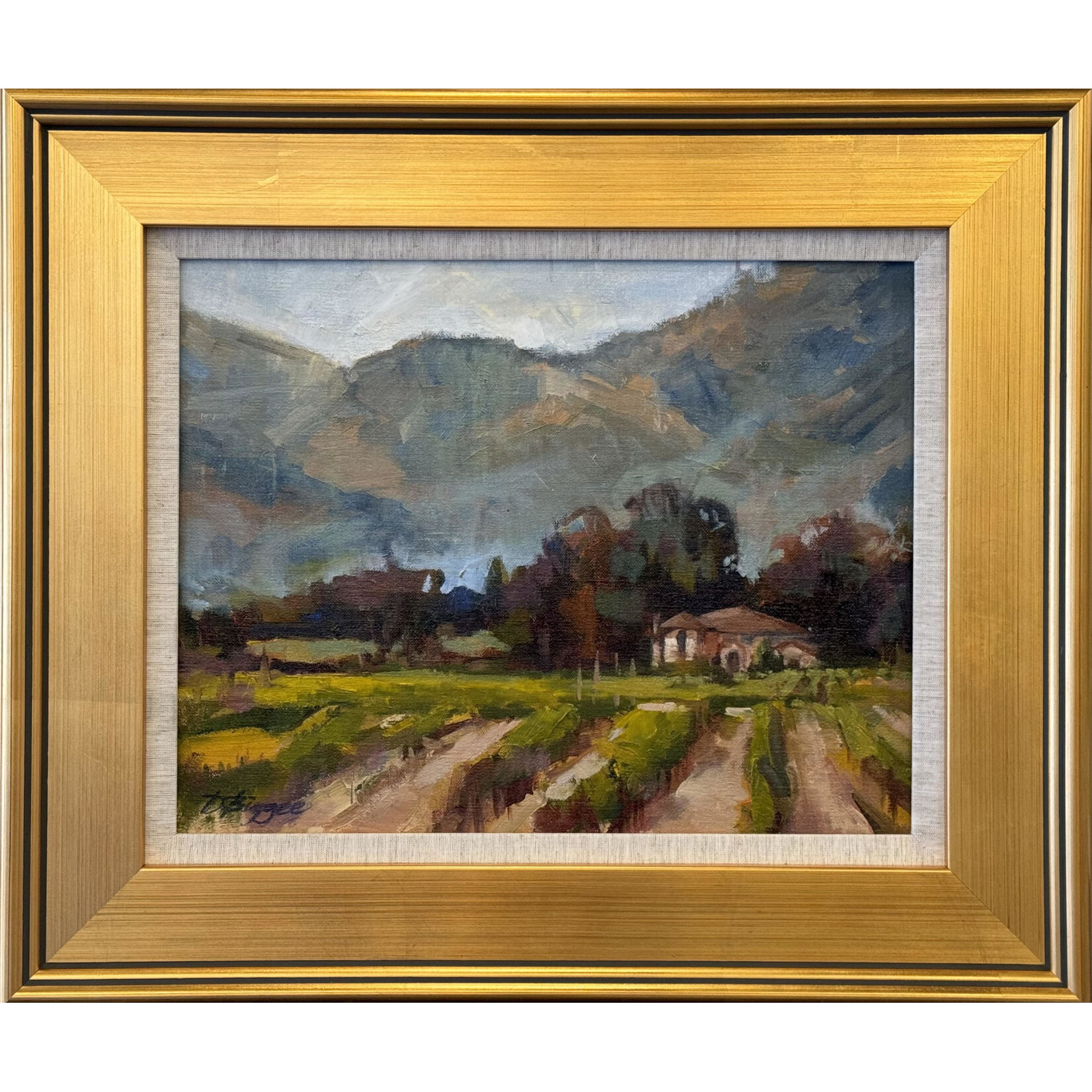 SOLD: Mountain Vineyard