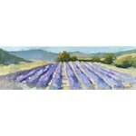 SOLD: Lavender Fields