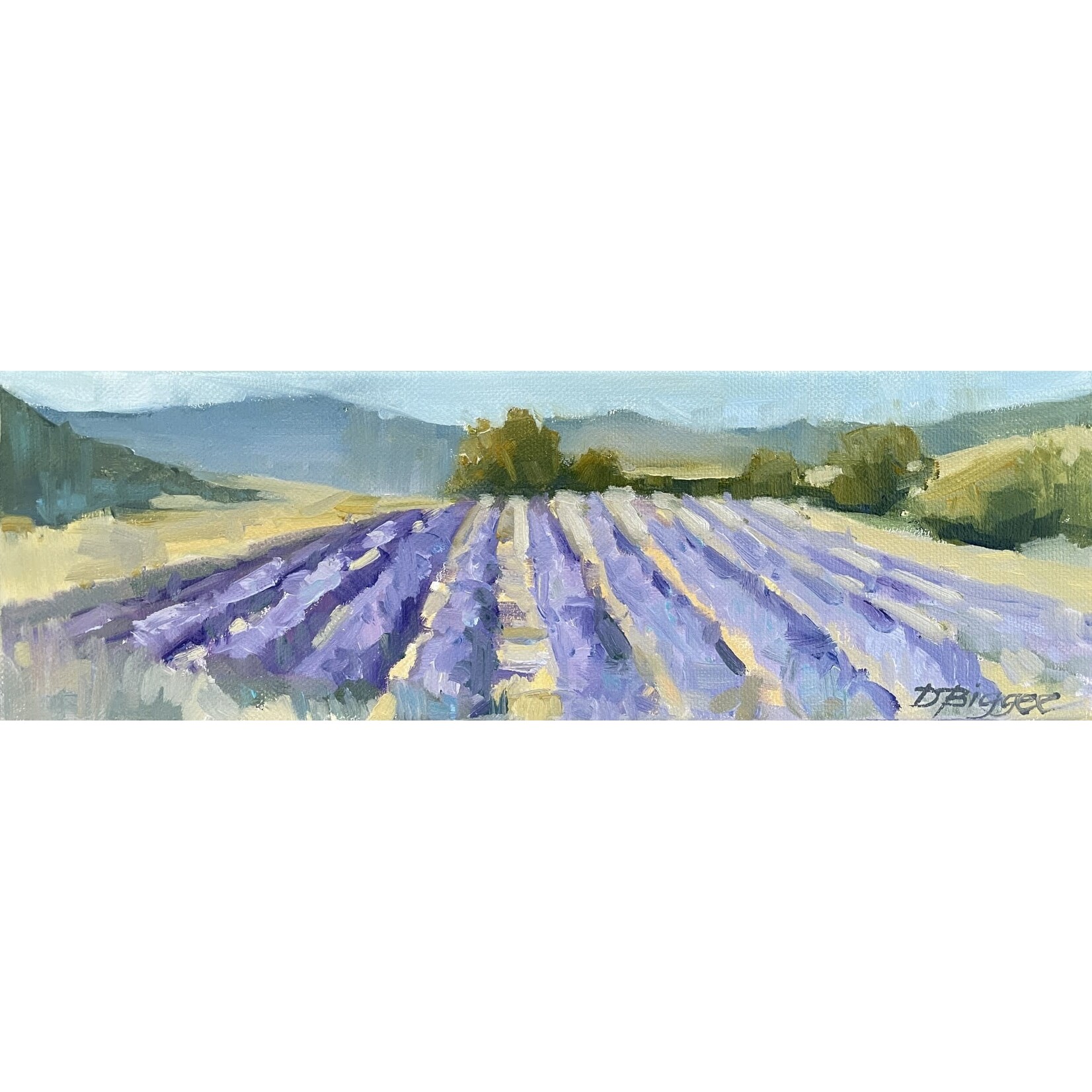 SOLD: Lavender Fields