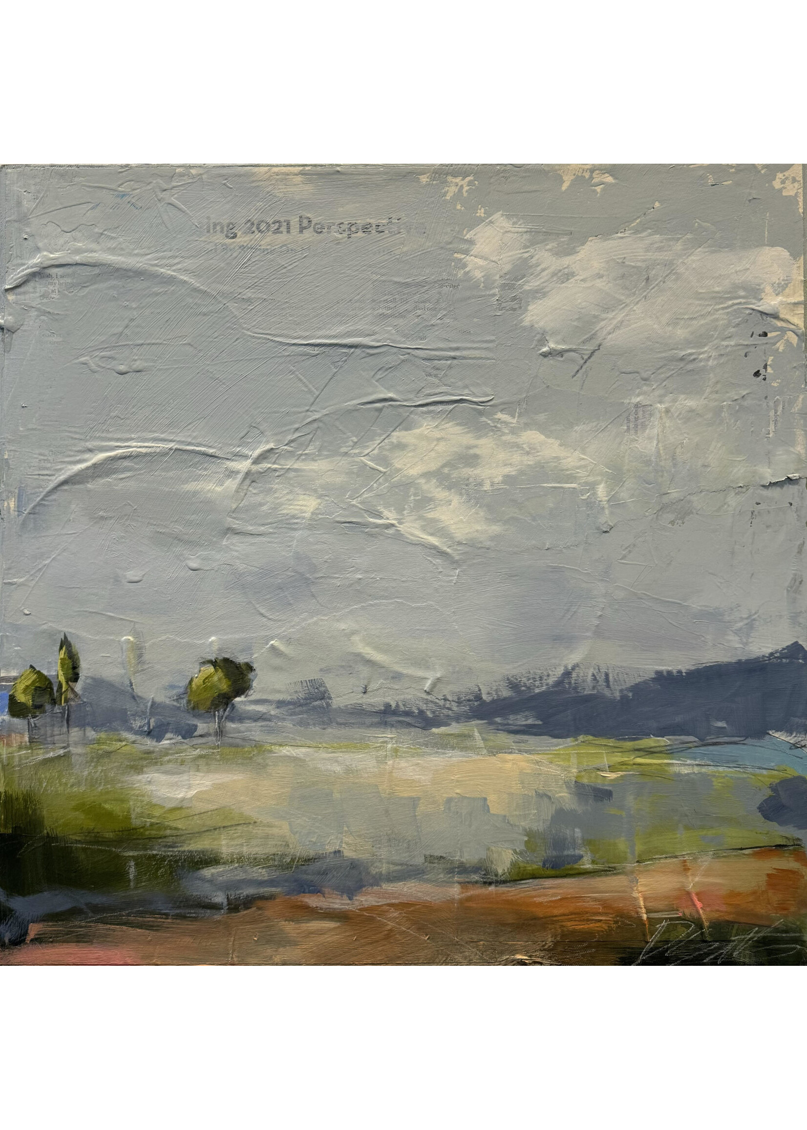 Diane Smith Designs 2021 Perspective