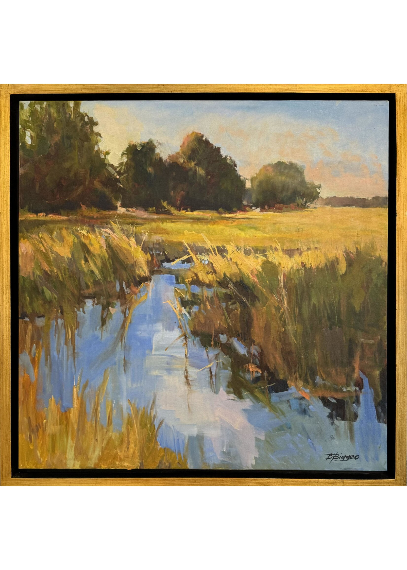 Summer Marsh Morning