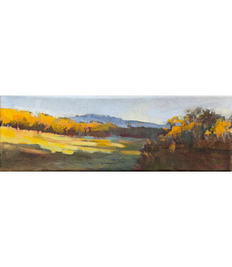 Donna Biggee October in the Mountains