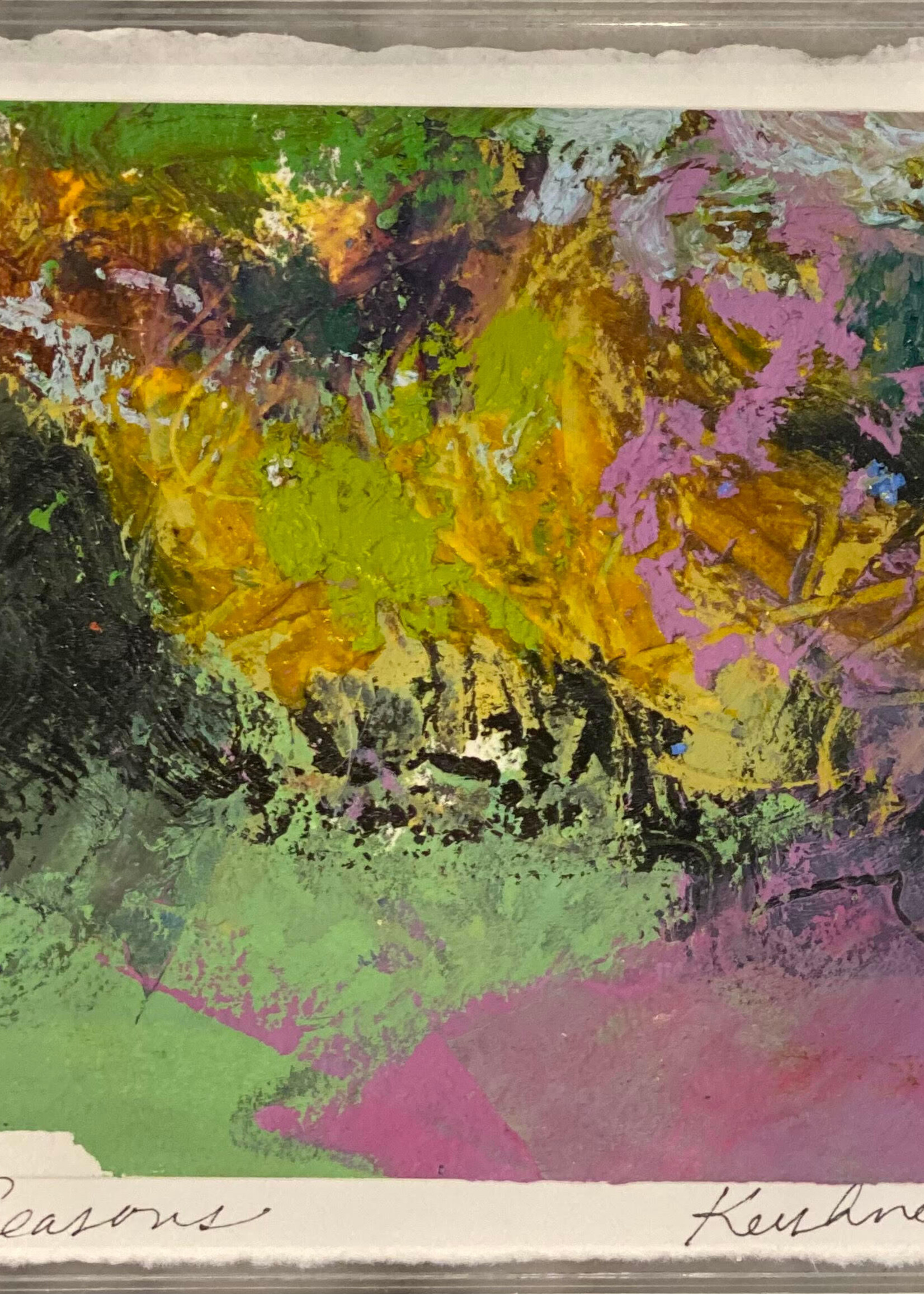 Leigh Kershner Seasons