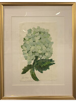 Dana Reese Stem - Limelight Hydrangea 1