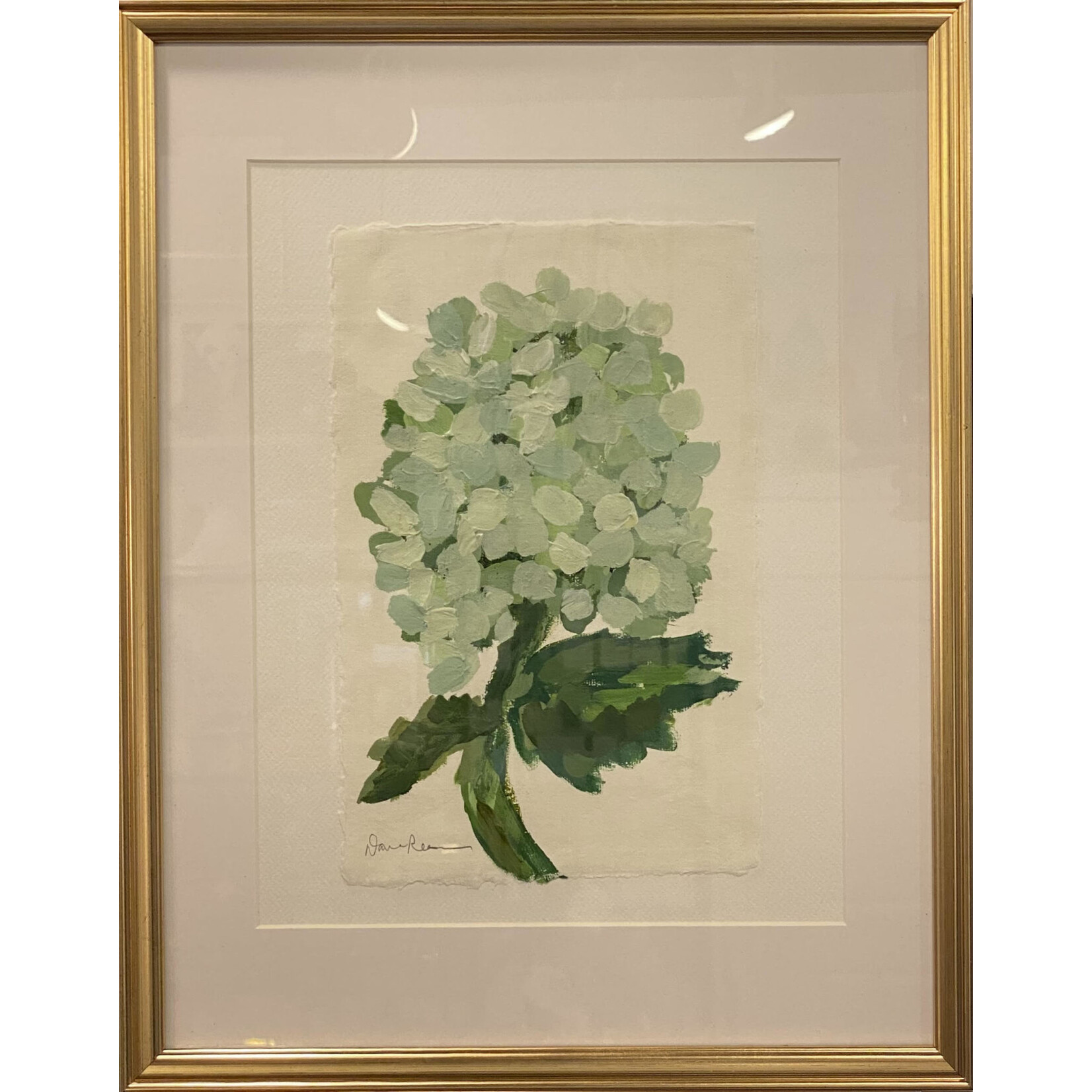 (SOLD) Stem - Limelight Hydrangea 1