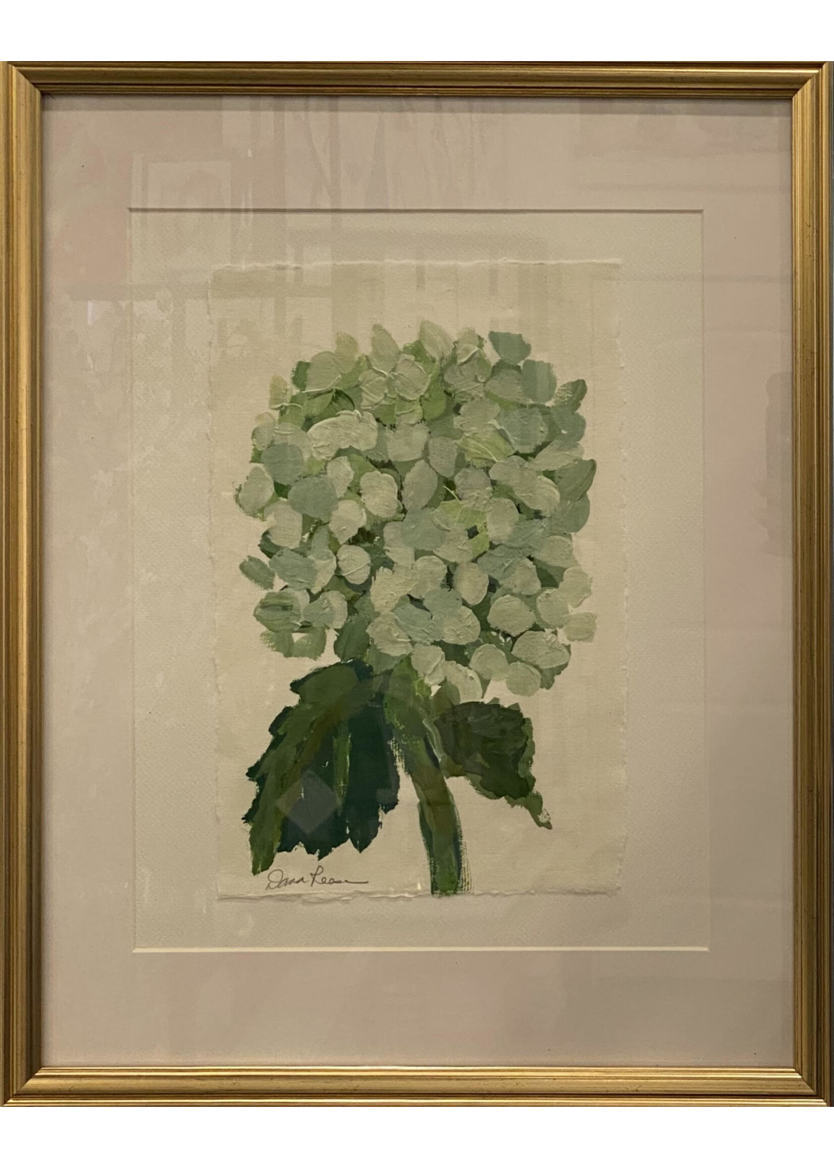 Stem - Limelight Hydrangea 2