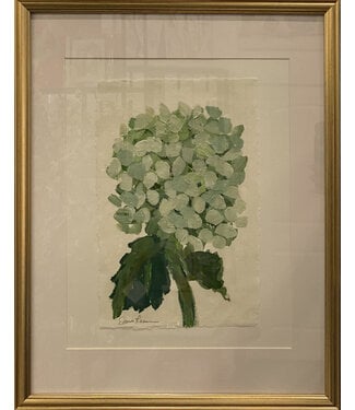 Dana Reese Stem - Limelight Hydrangea 2