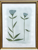 No. 21 - 26 Botanicals