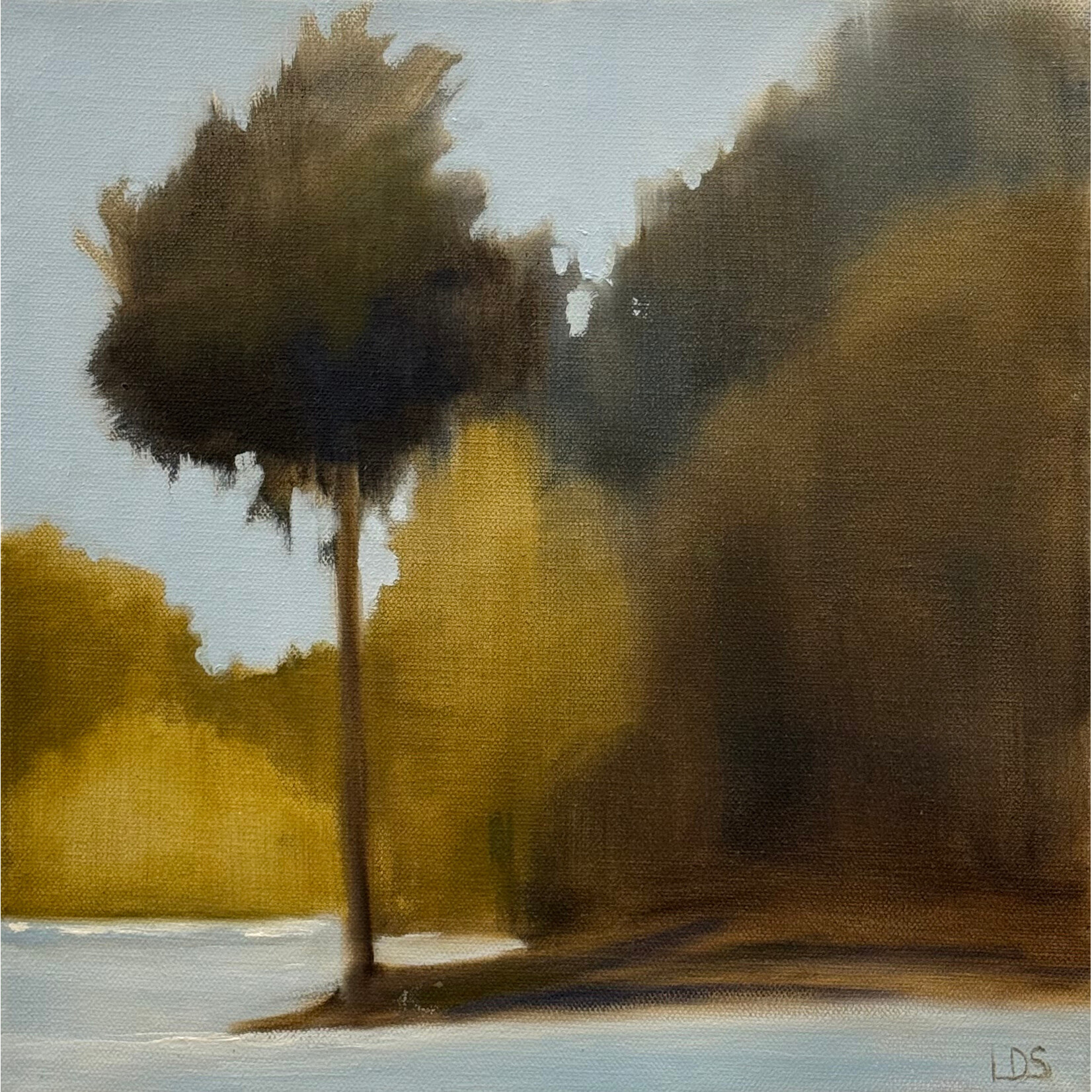 (SOLD) Snapshot V