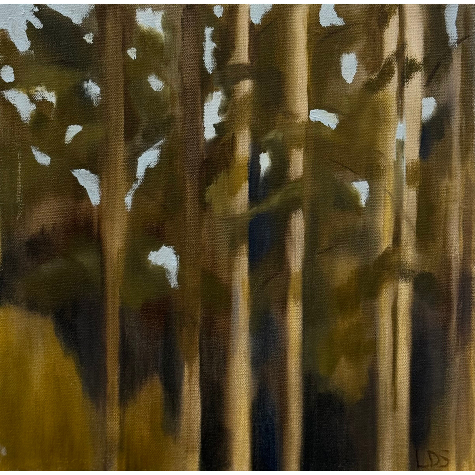 (SOLD) Snapshot I