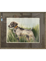 Mary Sams Shorthaired Pointer