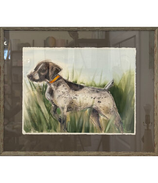 Mary Sams Shorthaired Pointer