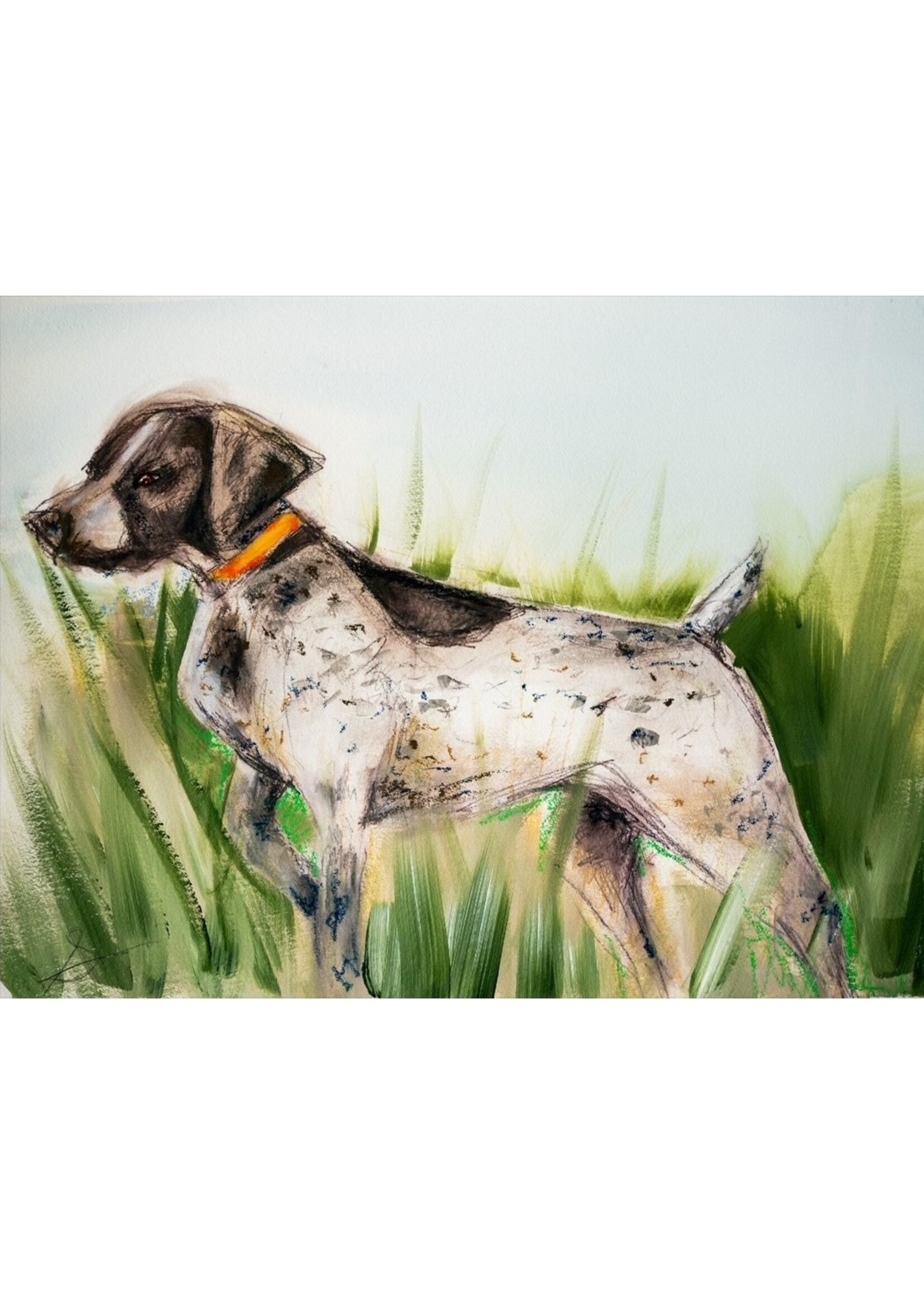 Shorthaired Pointer