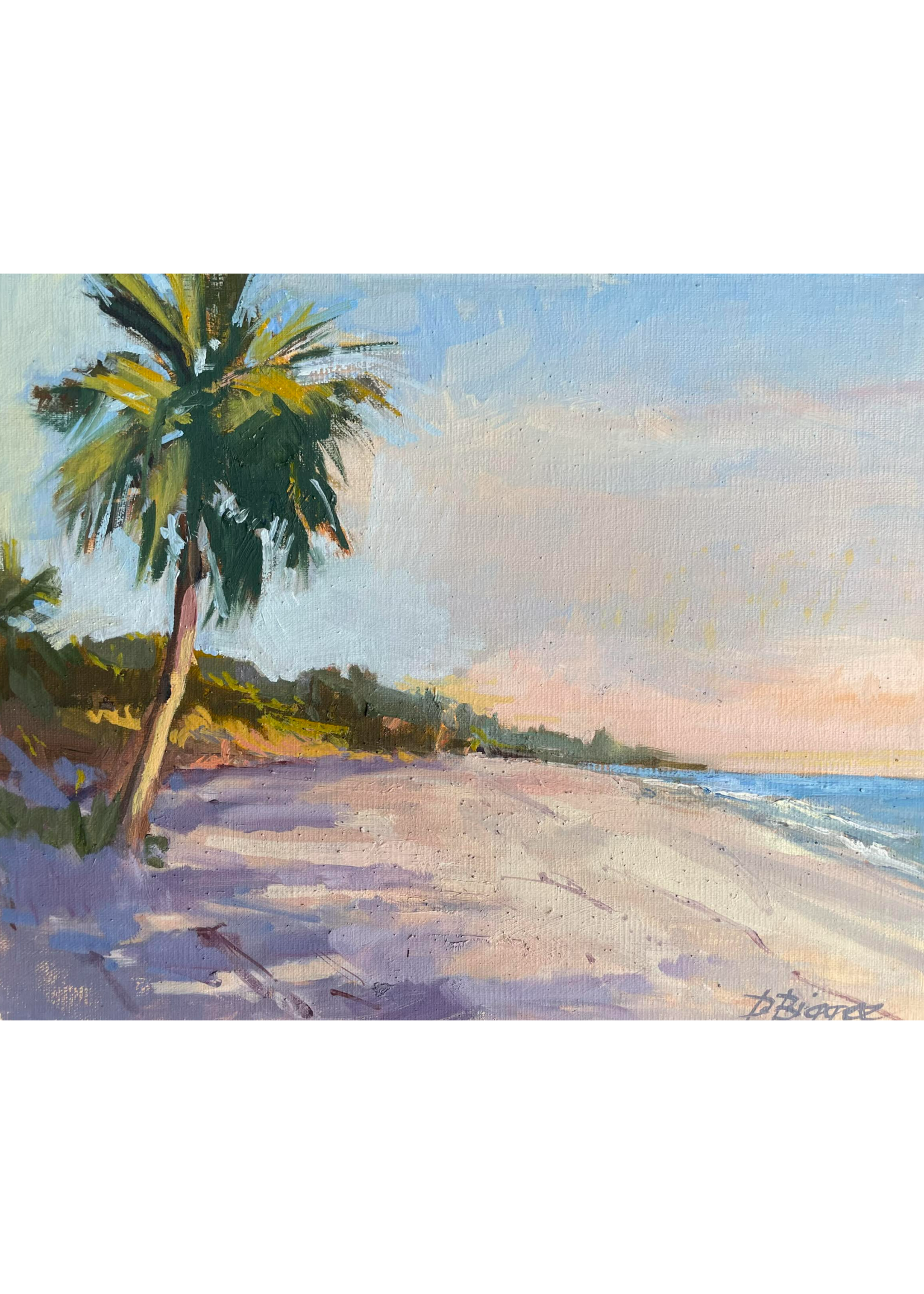 Beach Evening Moment