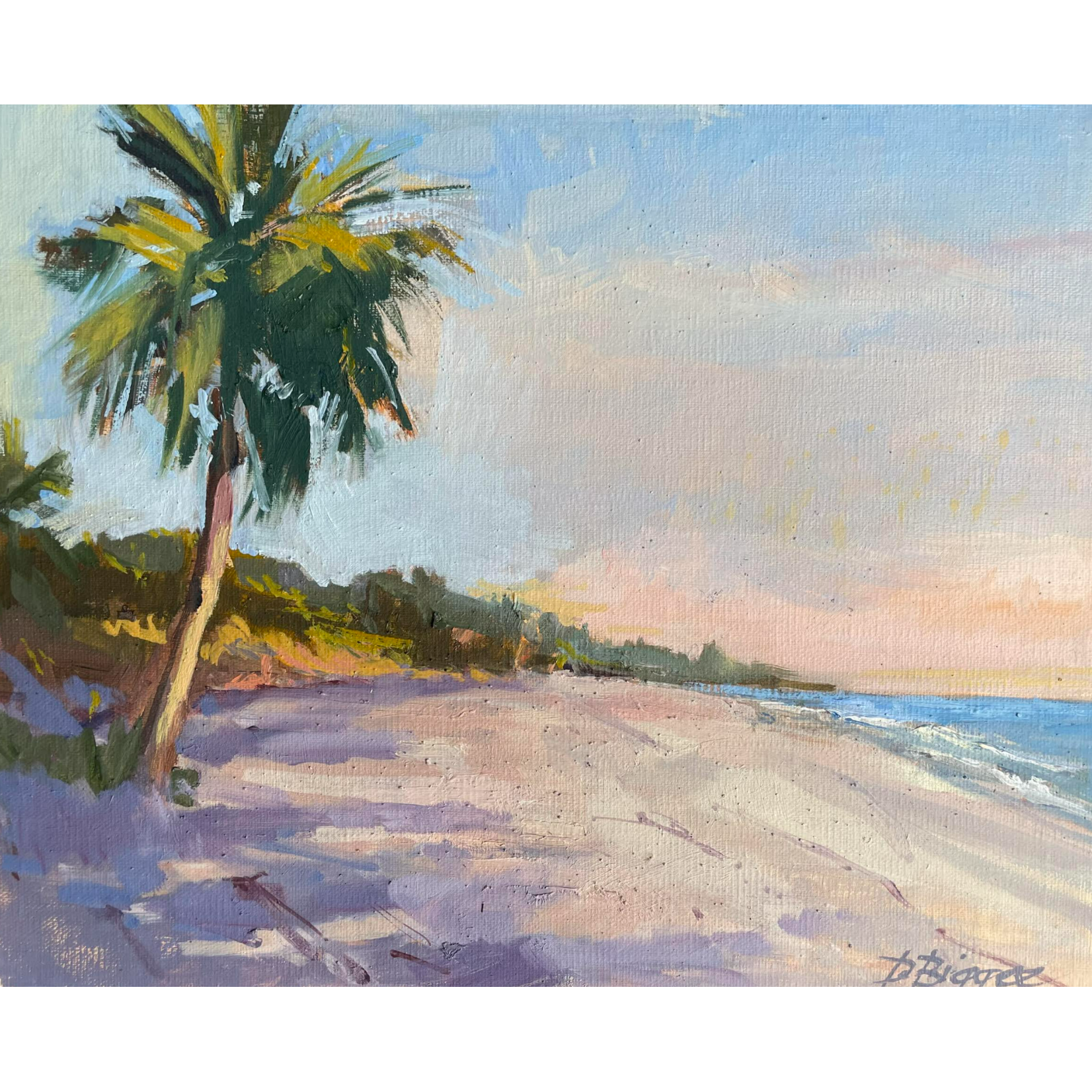 Beach Evening Moment