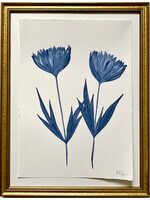 Morning Blues Botanical