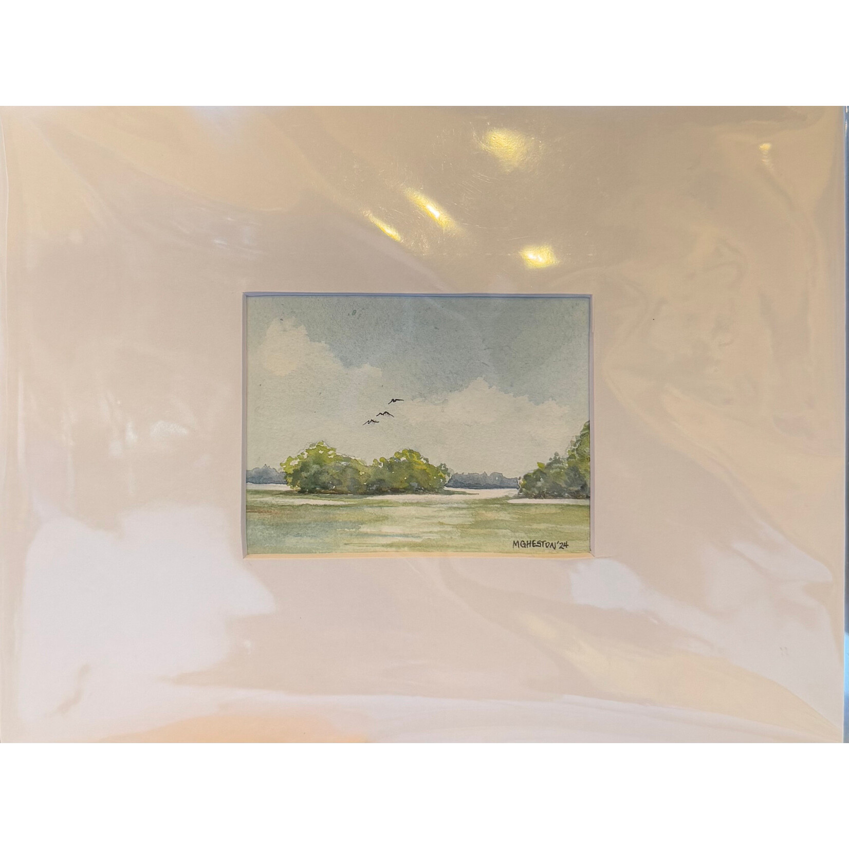 Birds Over Bush 1 (Item #8)