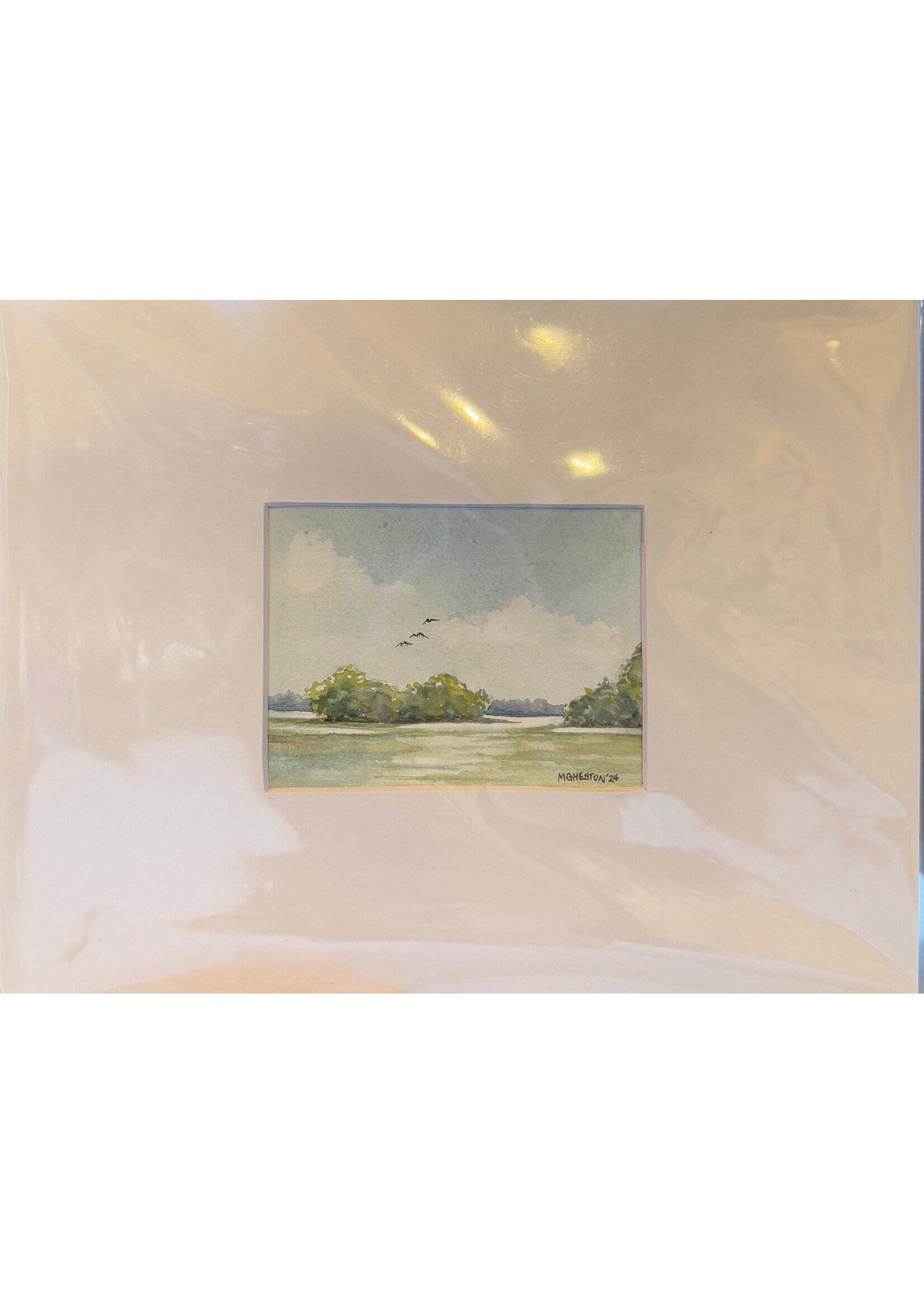 Birds Over Bush 1 (Item #8)