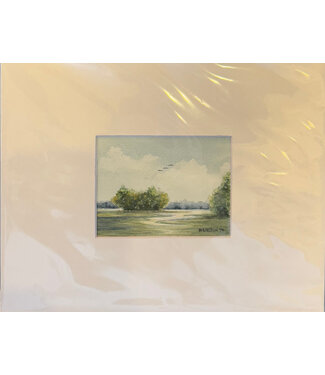 Mary Grace Heston Birds Over Bush 2