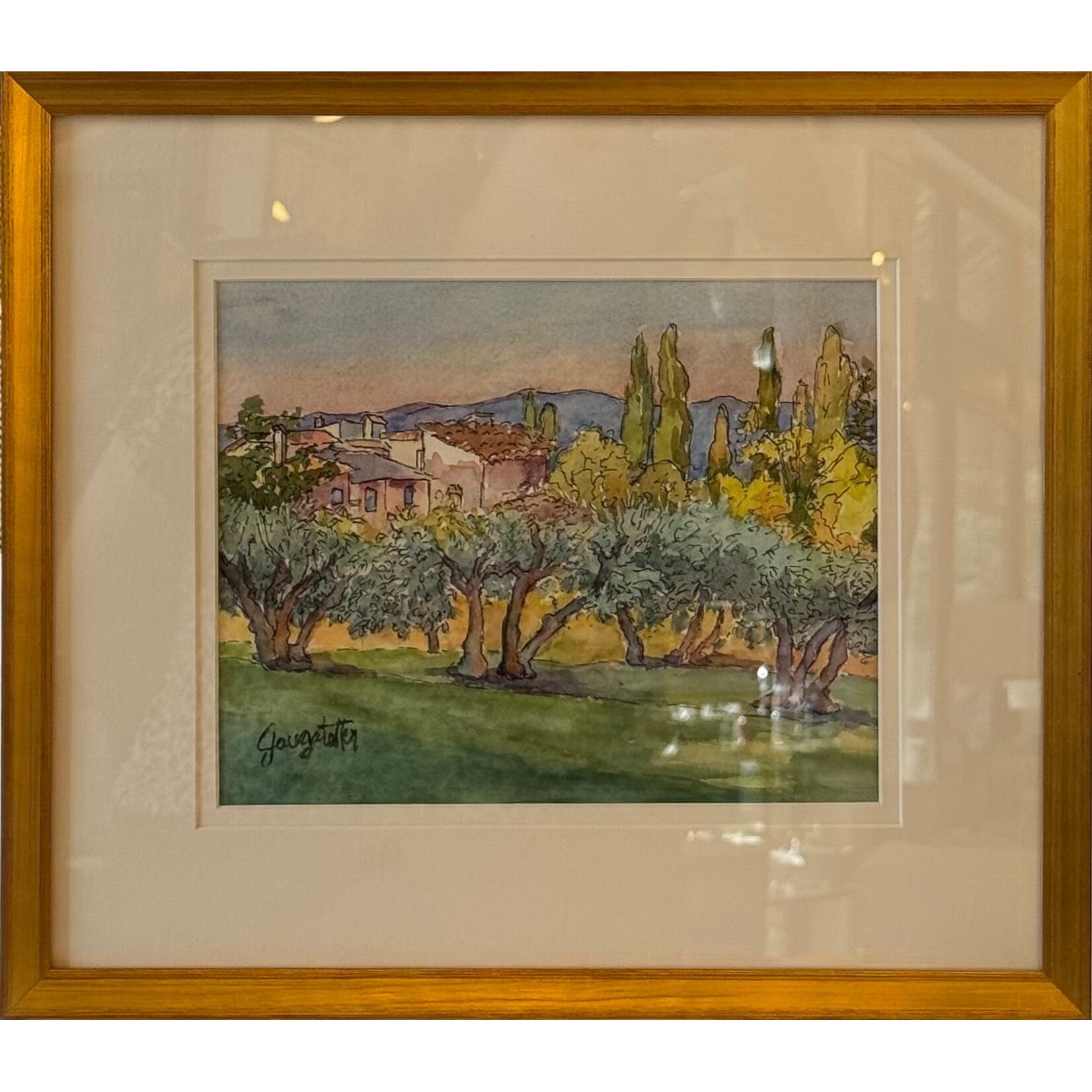 Tuscan Olive Orchard