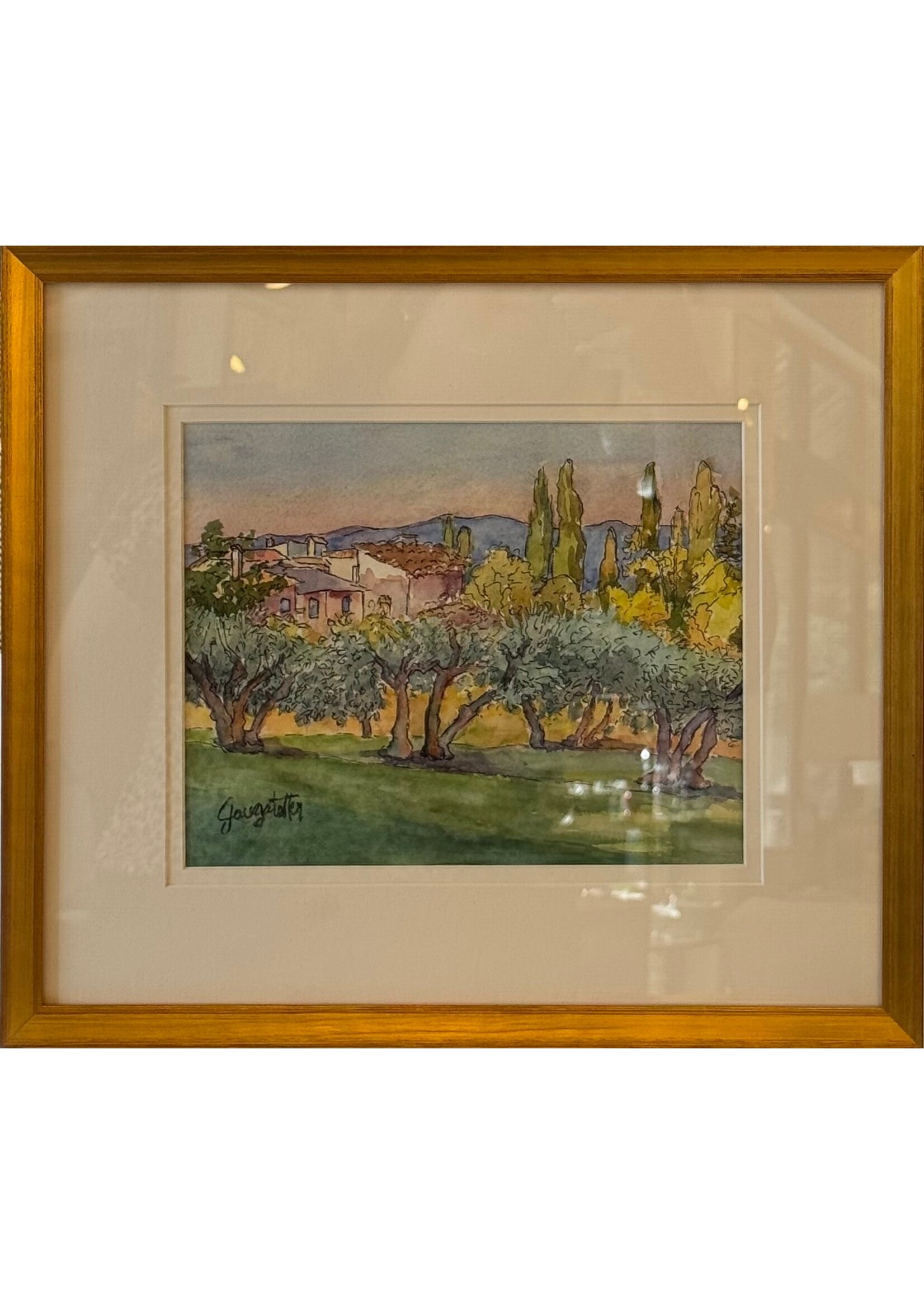 Tuscan Olive Orchard