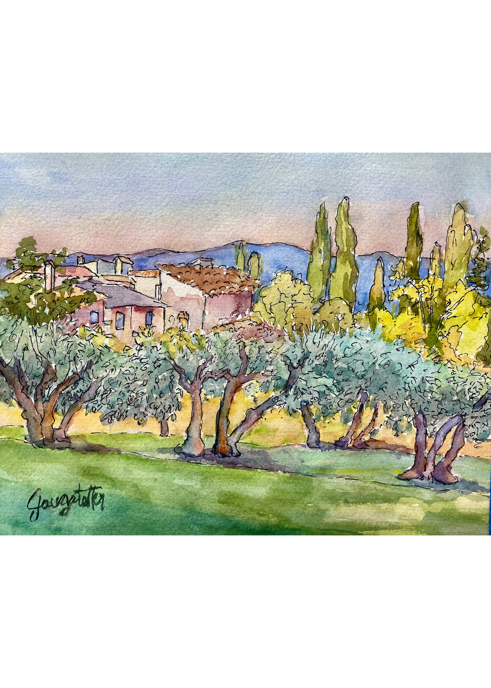 Tuscan Olive Orchard