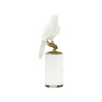 chelsea house Parrot on Crystal