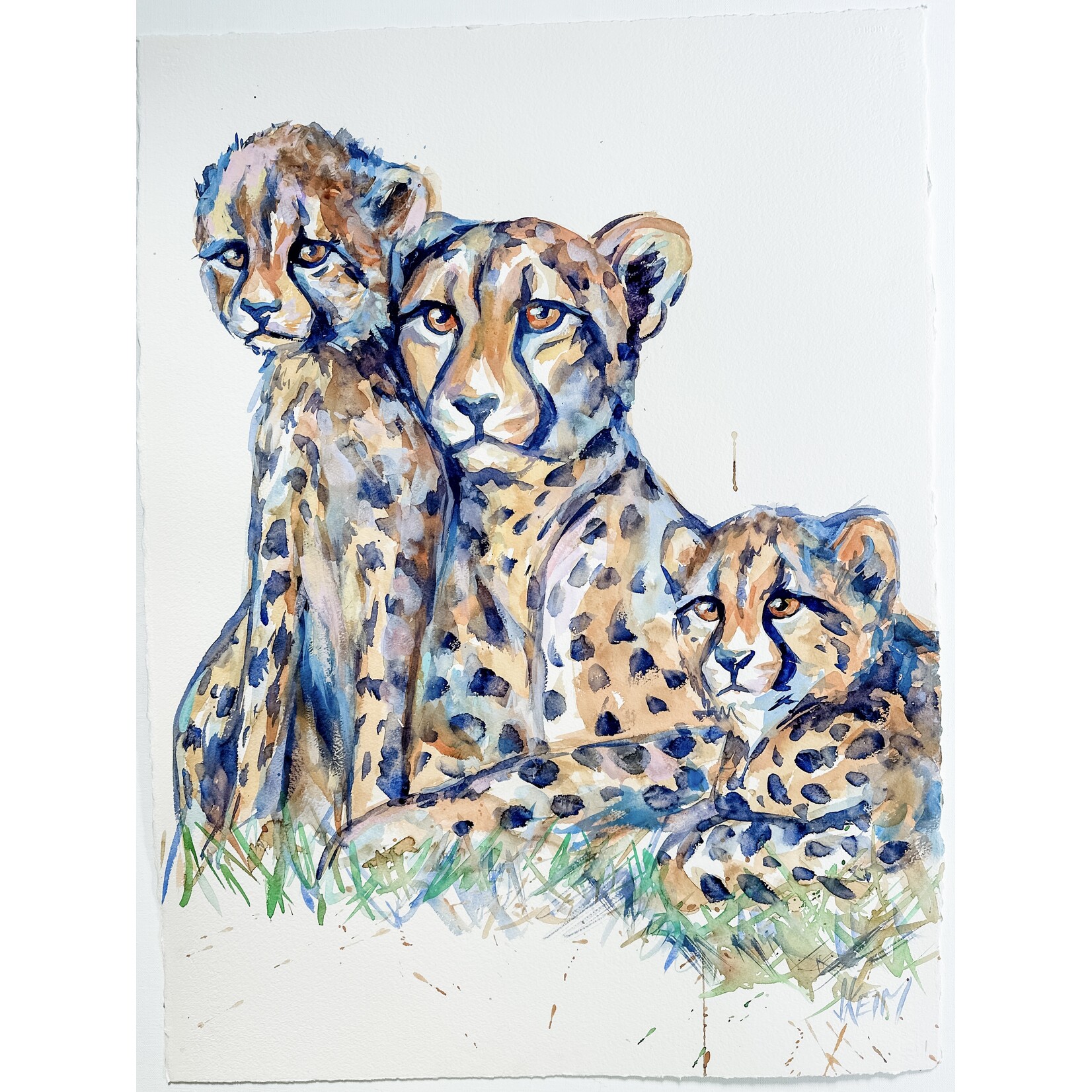 (SOLD) Cheetah Fam