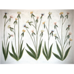 Changing of the Seasons