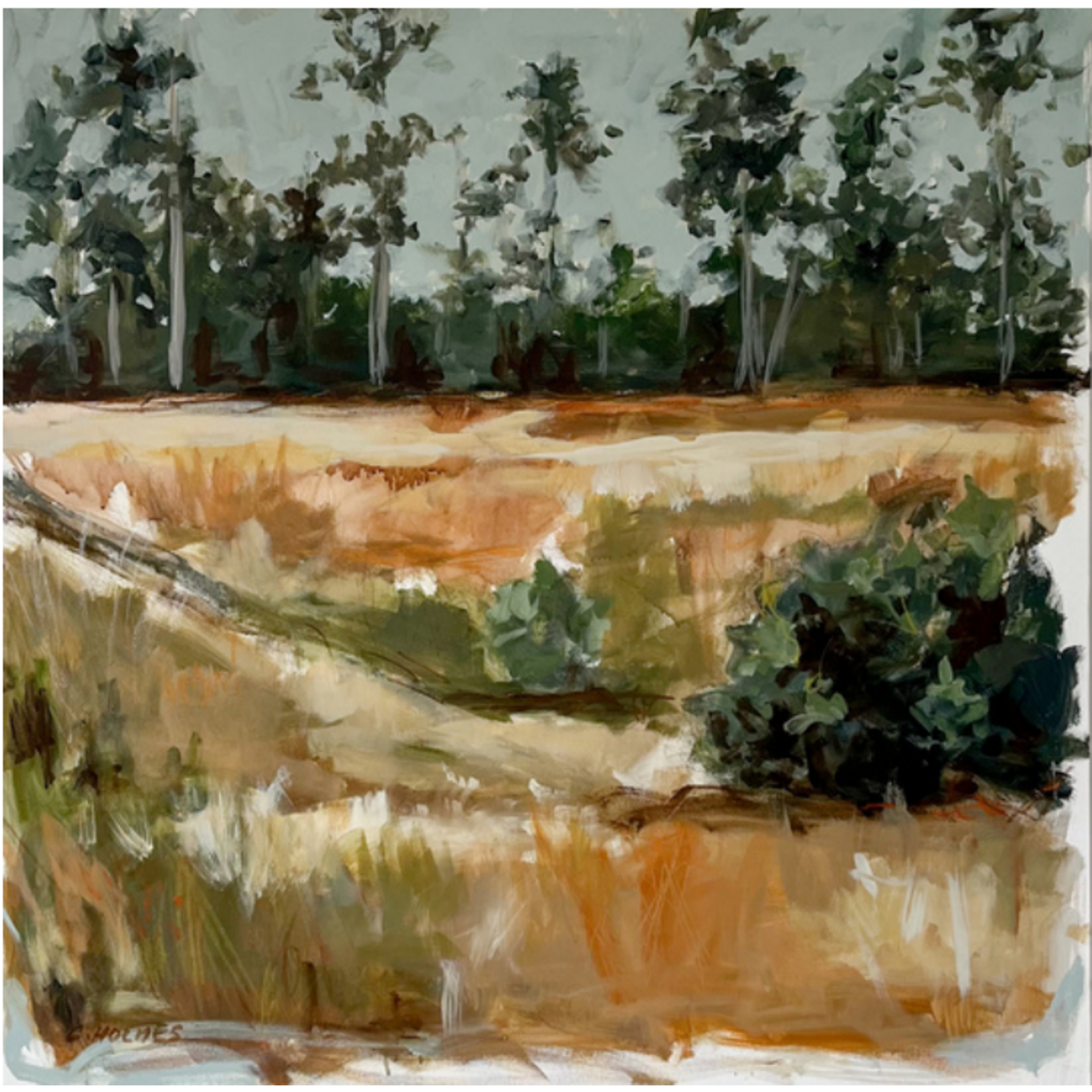 Copper Fields: Wild Flush