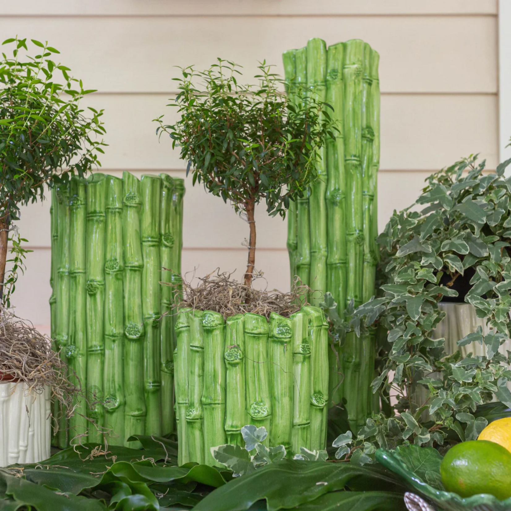 Bamboo All Around, Medium Green