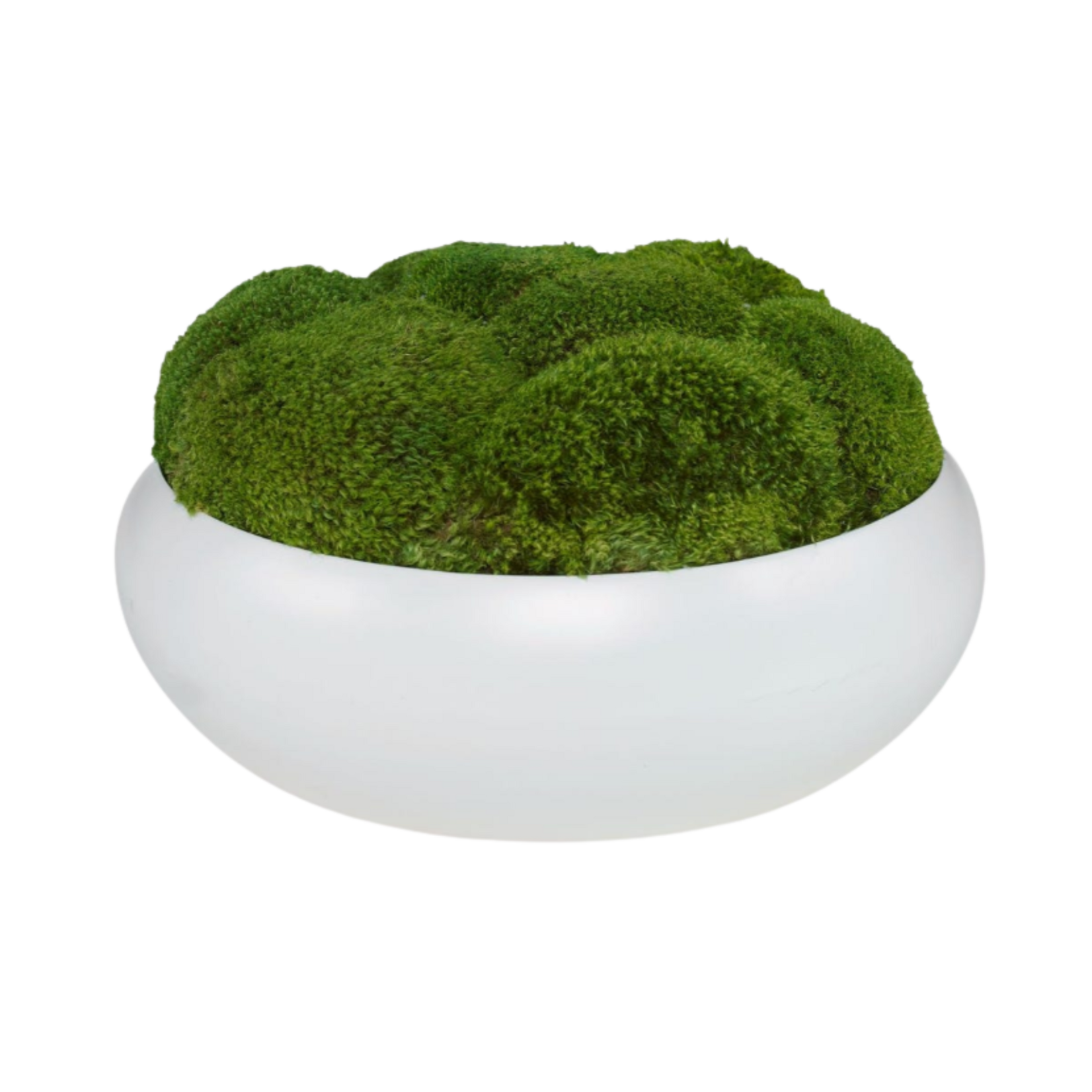 Gratia Moss Centerpiece