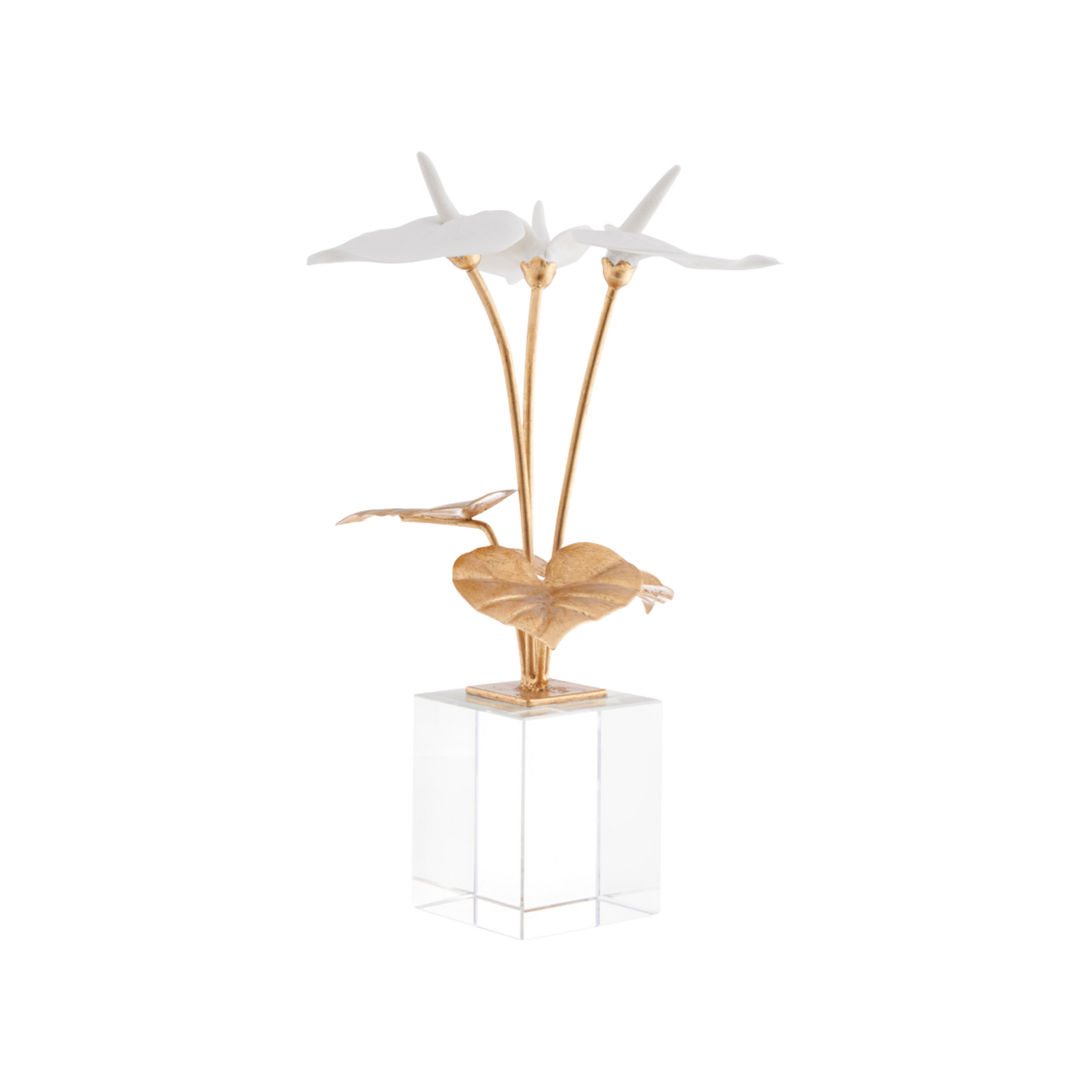 Small Anthuriums on Stand