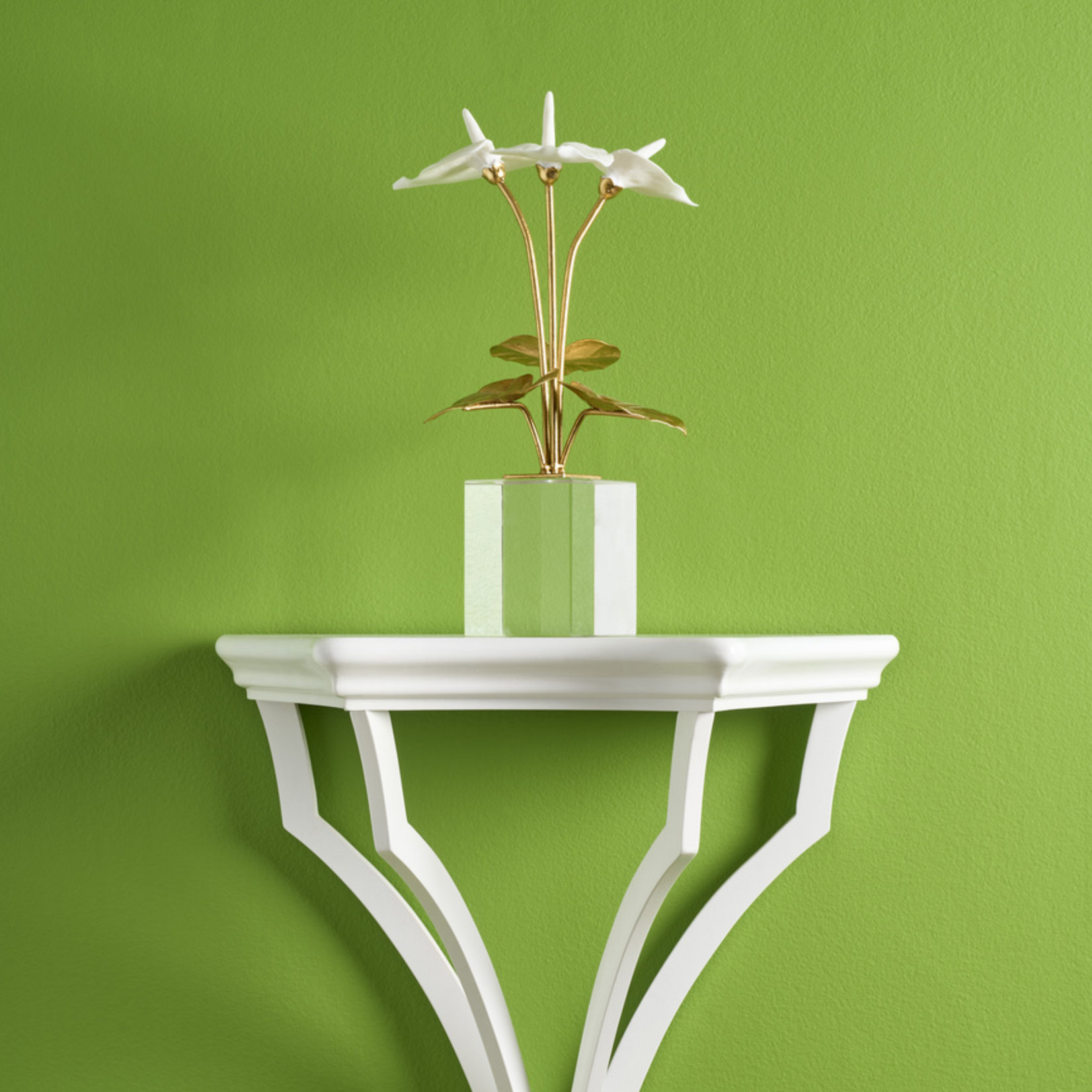 Small Anthuriums on Stand
