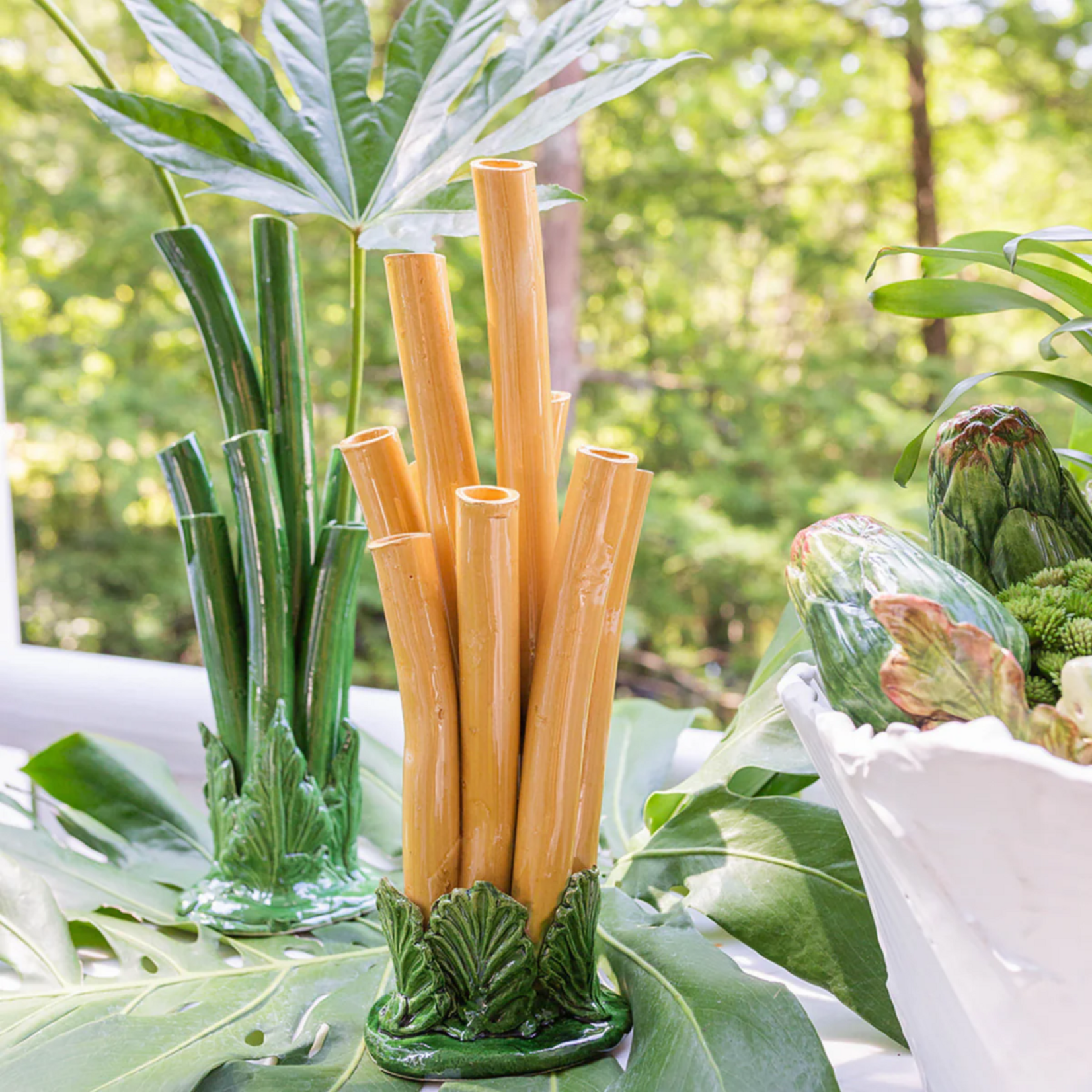 Bamboo Tulipiere
