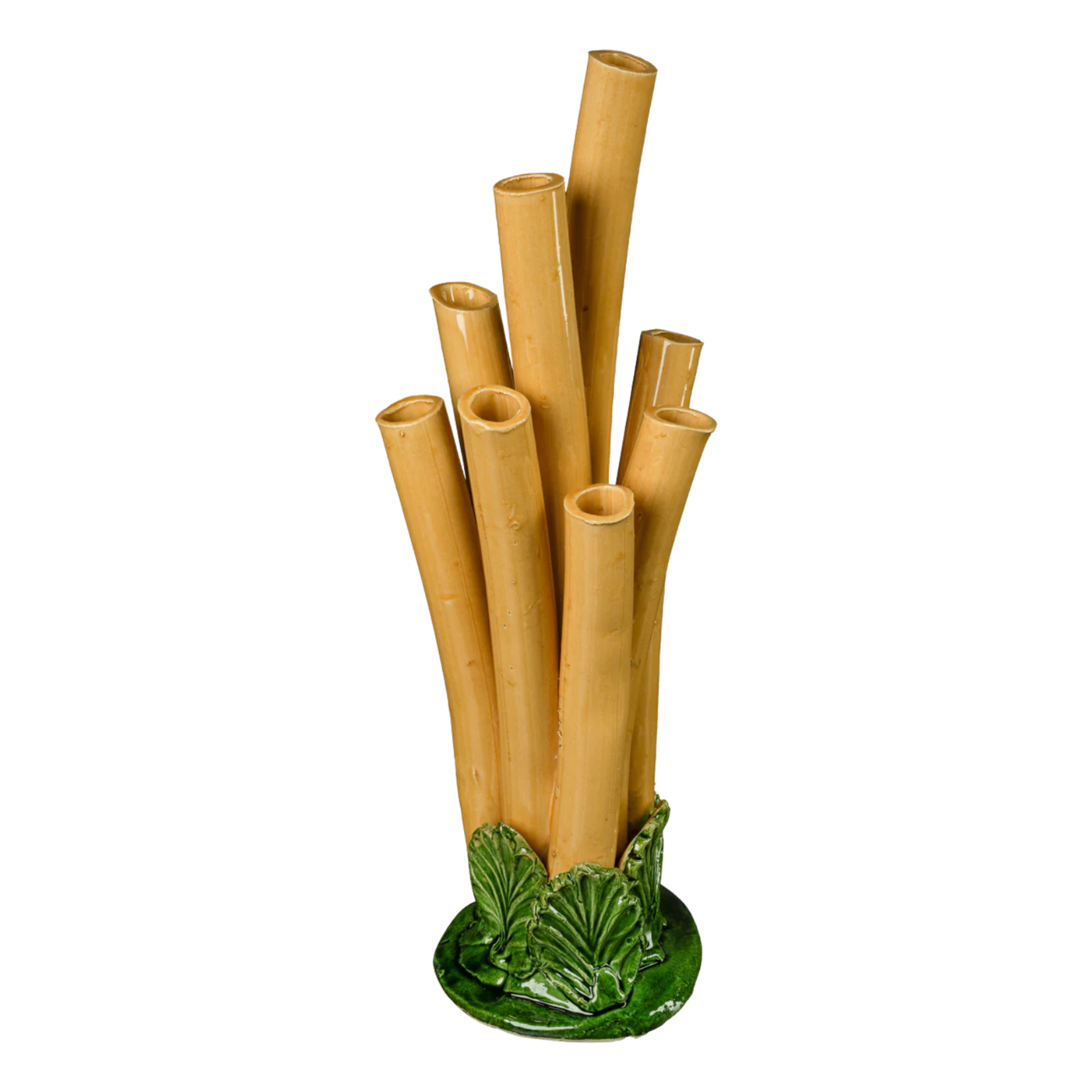 Bamboo Tulipiere