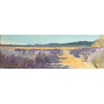 Rows of Lavendar