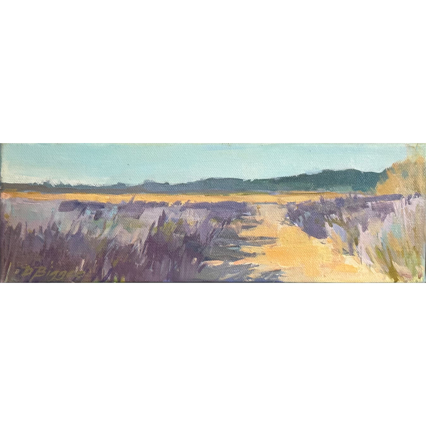Rows of Lavendar